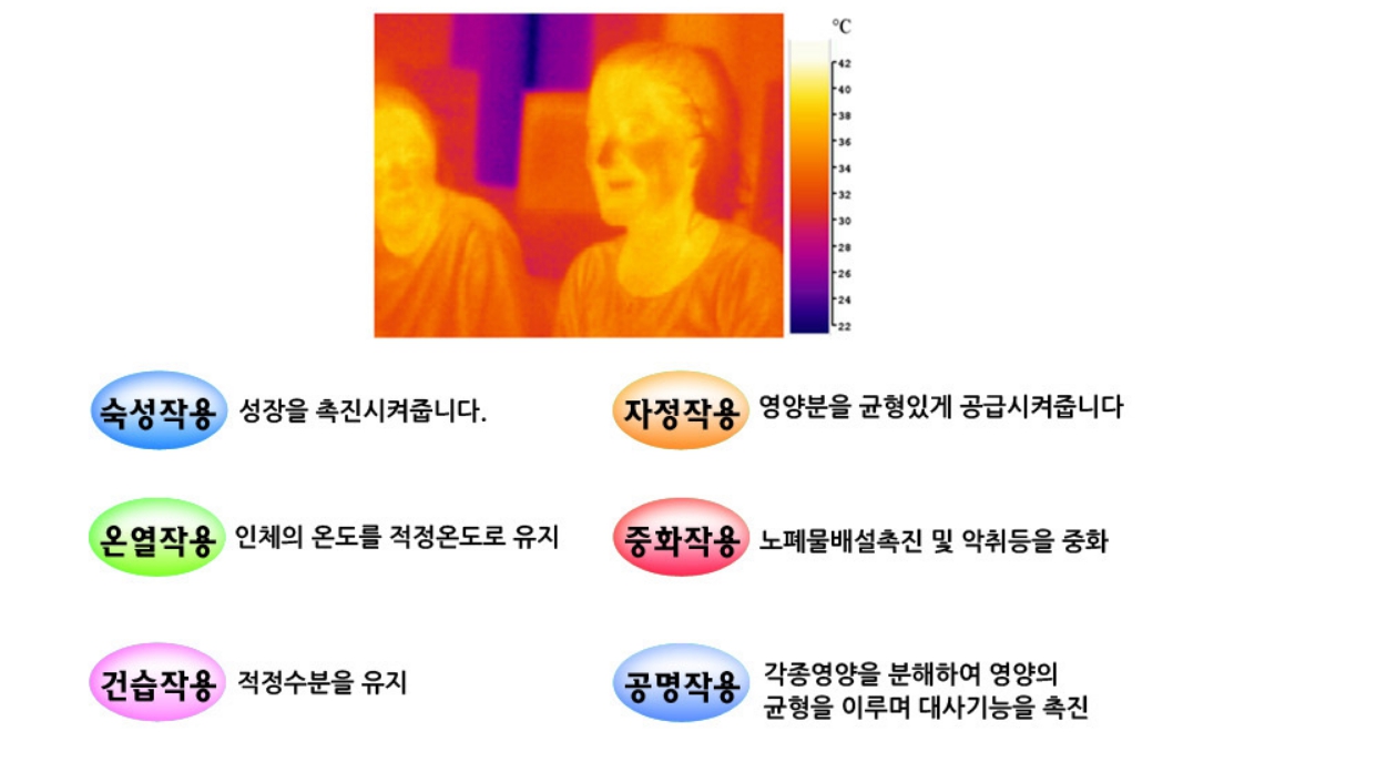 탄소섬유난방 면상발열체 PTC필름난방 인성에너지